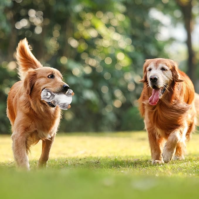 DODODOLA Dog Toys Plush Squirrel Dog Toy Stuffed Animals Chew Toy Soft Squeaky Dog Gift Toys for Small Medium Big Large Dogs Pet - PAWPICO