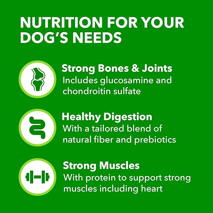 IAMS Adult High Protein Large Breed Dry Dog Food with Real Chicken, 40 lb. Bag - PAWPICO