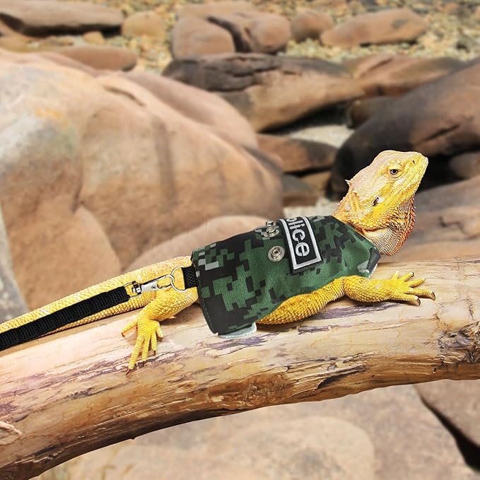 Bearded Dragon Harness and Leash Set - Adjustable Lizard Harness with Replaceable Patch Outdoor Traction Rope Walking Training Leash Reptile Halloween Costume Accessories for Small Pets (Green) SEZDEKI