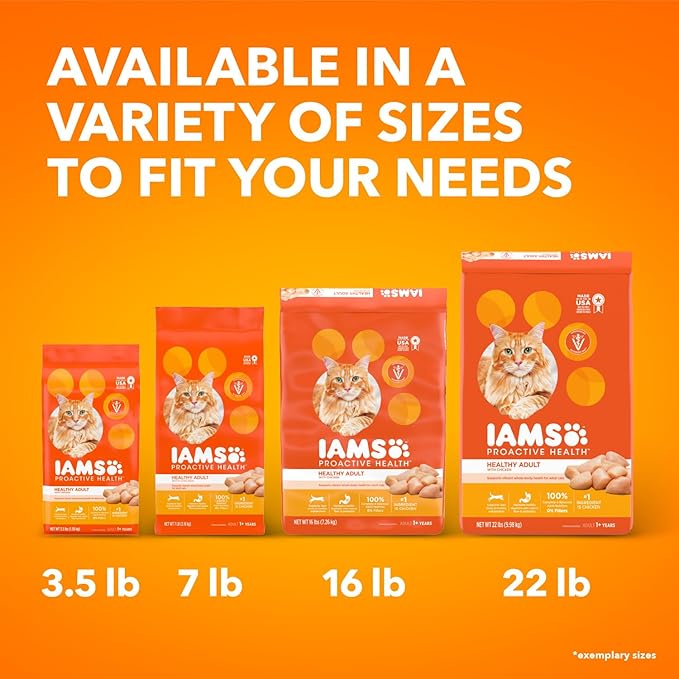 IAMS Proactive Health Healthy Adult Dry Cat Food with Chicken, 22 lb. Bag - PAWPICO