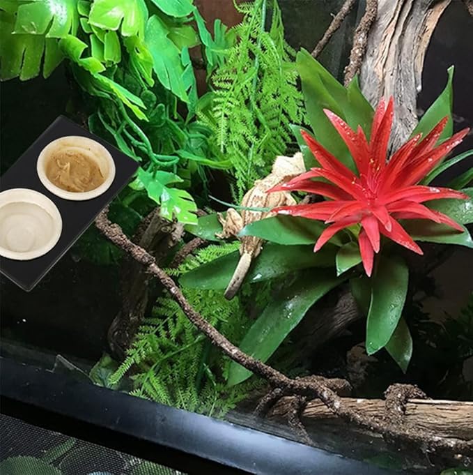 Paper Feeding Cups Samll 0.5 oz Gecko Food and Water Feeding Dish Ledge Accessories Bowls for Crested Gecko Lizards Reptiles Pets (Ledge+20cups) QIHYCUF