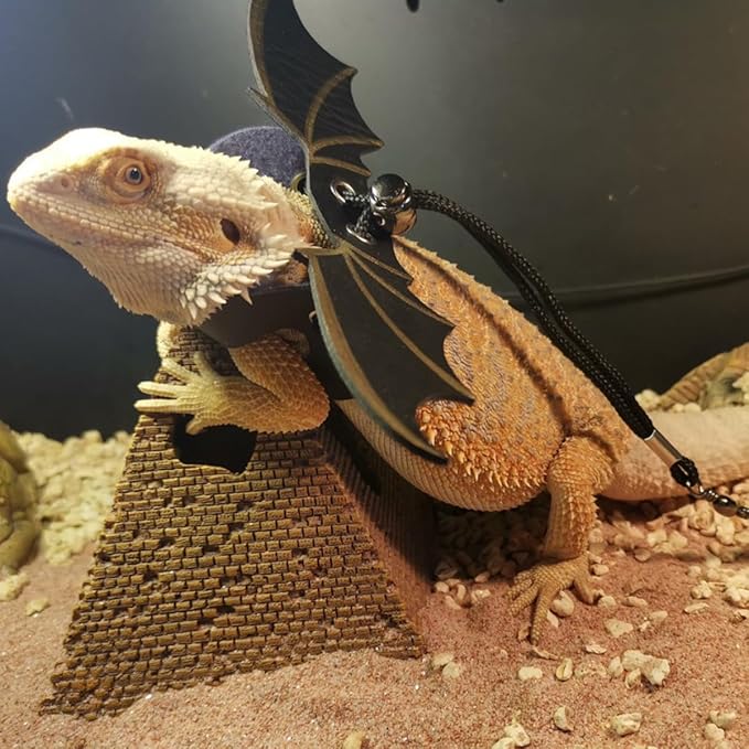 Bearded Dragon Lizard Backpack Carrier with Harness and Leash Set, Small Animal Carrier Backpack, Space Capsule Bubble Window Carrier Backpack, Small Pet Carrier Backpack, Airline Approved (Black) UOOPET