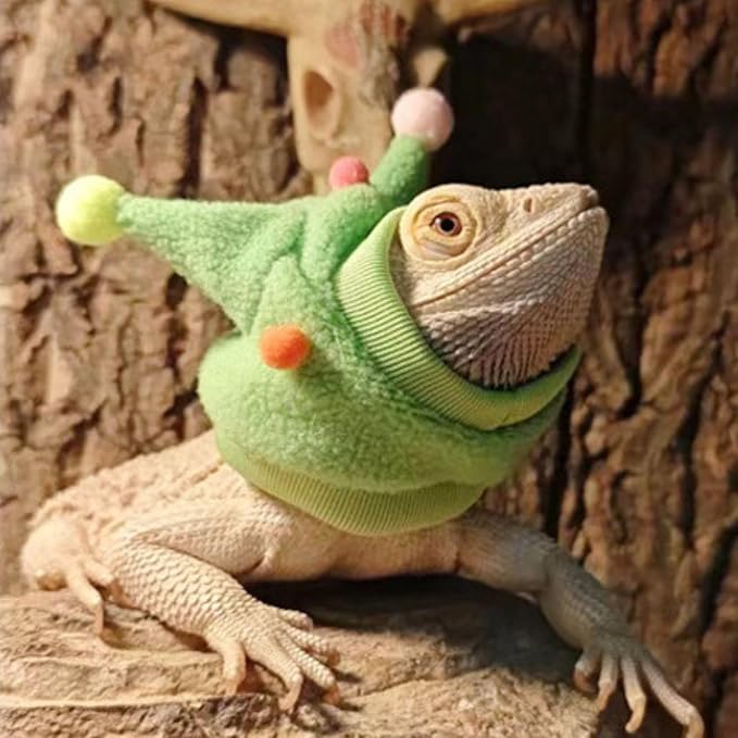 Bearded Dragon Hat - Winter Warm Lizard Cap with Horns & Pom Pom Ball Fun Halloween Outfit Bull Costume Elastic Headwear Accessories Anxiety Relief Ear Muffs for Reptile Fancy Rat Ferret (3 Pack) SEZDEKI