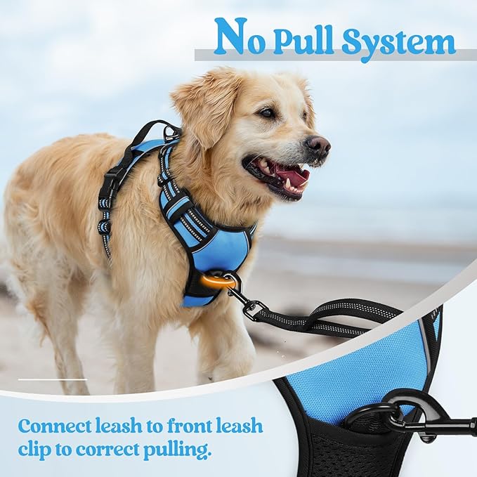 rabbitgoo Dog Harness No Pull with 2 Leash Clips, Adjustable Soft Padded, Reflective Oxford No Choke Pet Vest with Easy Control Handle for Small Dogs, Blue, S rabbitgoo