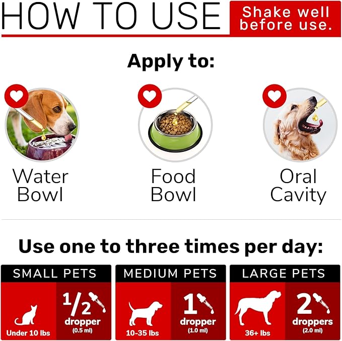 ะกat Vitamins for Indoor Cats in Drops โ Liquid Multivitamin for Dogs โ Dog Multivitamin Liquid Supplement โ Cat Multivitamin โ Multivitamin for Dogs โ Vitamin C for Cats โ 2 oz AlfaLovePets