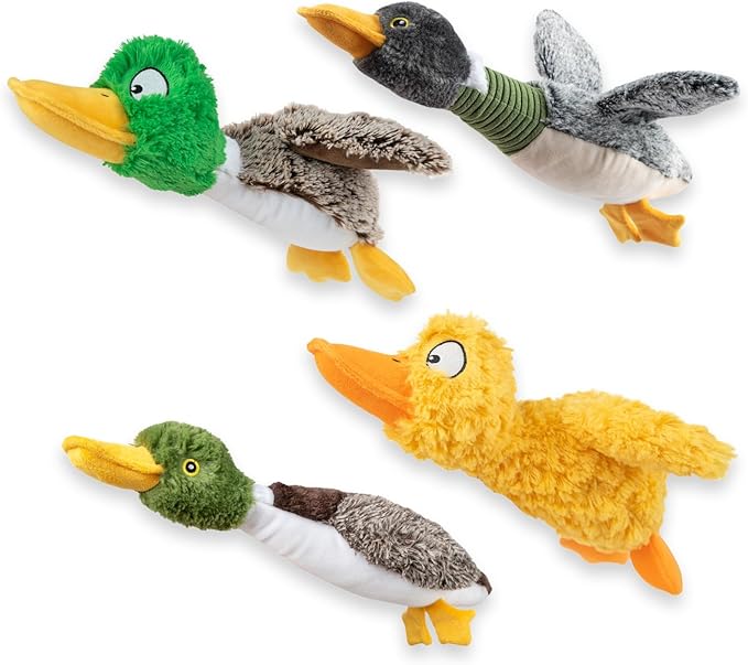 Best Pet Supplies Interactive Mallard Mates Dog Toy with Crinkle and Squeaky Enrichment for Small and Medium Breed, Cute and Plush - 3 Ducks (Mystery Box), Medium - PAWPICO
