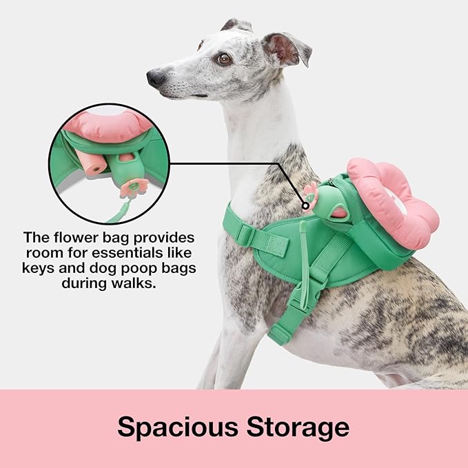 VETRESKA Flora Dog Harness, Leash and Collar Set, No Pull Dog Vest Harness for Walking and Training, Adjustable, Easy Control and Soft Padded Pet Harness and Backpack for Small Medium Large Dogs, S VETRESKA