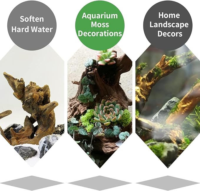 Hamiledyi Driftwood for Aquarium Reptile Toy Driftwood Branches Reptiles Aquarium Decoration Assorted Size Natural Habitat Decor Wood for Lizad-1 Pack Hamiledyi