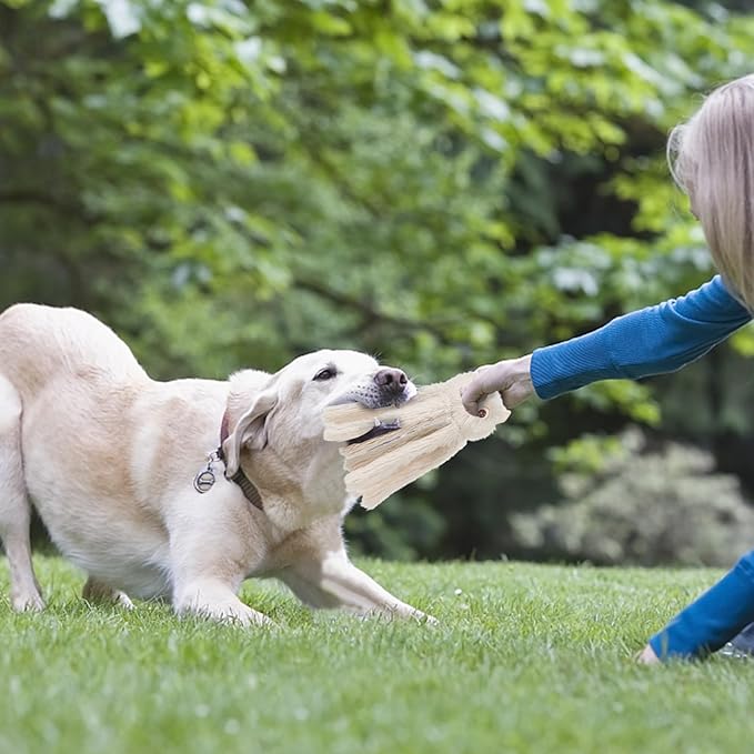 DODODOLA Dog Toys Squeaky Dog Toys with Crinkle Paper Cute Stuffed Octopus Durable Dog Plush Toys for Large Breed Dog Chew Toys for Small, Medium, Large Dogs - PAWPICO