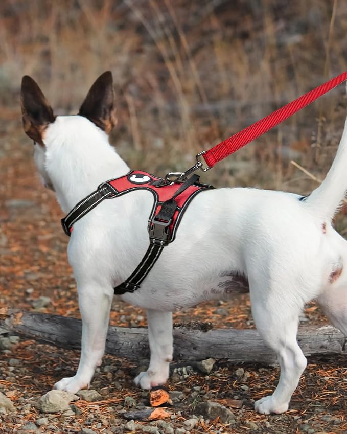 Joytale Double-Sided Reflective Dog Leash, 6 FT/5 FT/4 FT, Padded Handle Nylon Heavy Duty Leashes for Small & Medium Dogs Walking, Red, 4FT Joytale