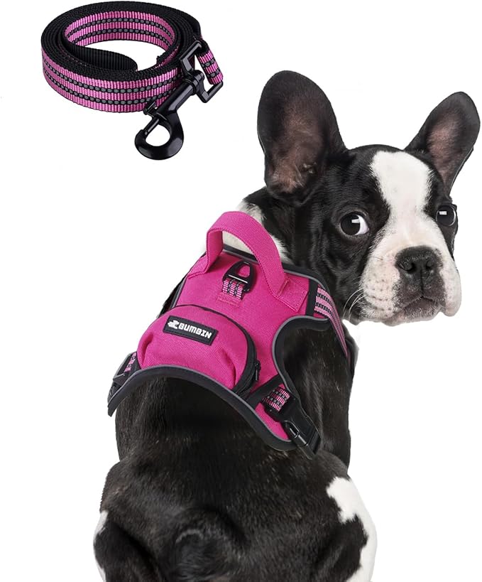 BUMBIN Dog Harness for Large Dogs, No Pull Adjustable No Choke Pet Vest with Dog Leash Fit Smart Reflective Pet Walking Harness for Training Easy Control Soft Handle Rose Red S BUMBIN