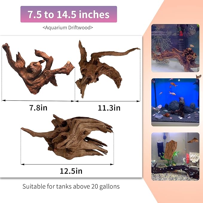 Hamiledyi 2 Pcs Large Driftwood for Aquarium Reptile Toy Driftwood Branches Reptiles Aquarium Decoration Assorted Size Natural Habitat Decor Wood for Lizad Hamiledyi