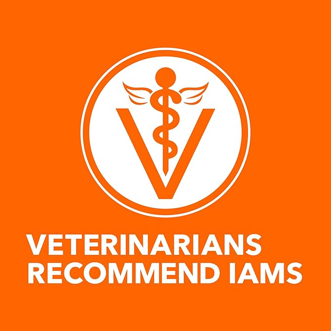 IAMS Proactive Health Adult Healthy Dry Cat Food with Salmon, 7 lb. Bag - PAWPICO