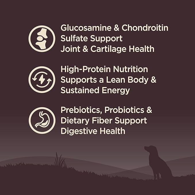 Wellness CORE Grain-Free Senior Dry Dog Food, Made in USA with Natural Ingredients, No Meat by-Product, Fillers, Artificial Flavors, or Preservatives (4-Pound Bag, Turkey) - PAWPICO