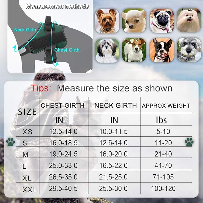 Bolux Dog Harness, No-Pull Reflective Dog Vest, Breathable Adjustable Pet Harness with Handle for Outdoor Walking - No More Pulling, Tugging or Choking (Dark Green, S) Bolux