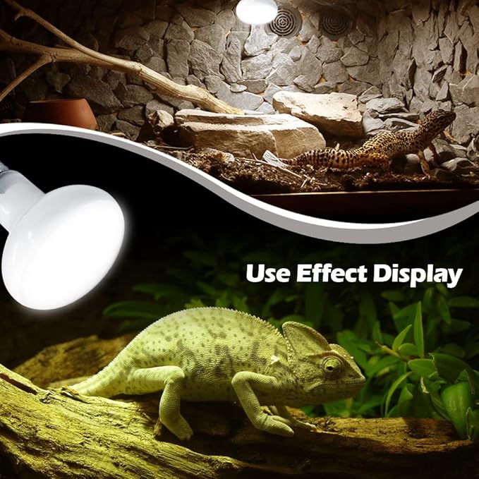 2 Pack 50W Reptile Heat Lamp Bulb Amphibian Basking Light Bulb, Reptile Daylight Bulb for Turtle, Bearded Dragon, Lizard,Chicken with Stick-on Digital Temperature Thermometer bestchoiceforyourreptiles