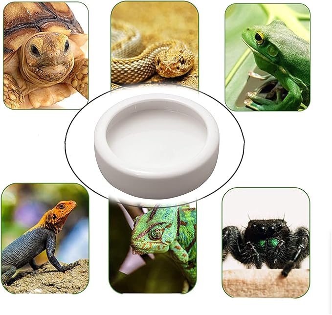 Tfwadmx 2 Pack Reptile Food Bowl, Mini Ceramic Water Feeder Bowl, Reptile Worm Feeding Dish for Lizard Turtle Bearded Dragon Anoles Crested Gecko Hermit Crab Leopard Gecko Chameleon Corn Snake Tfwadmx