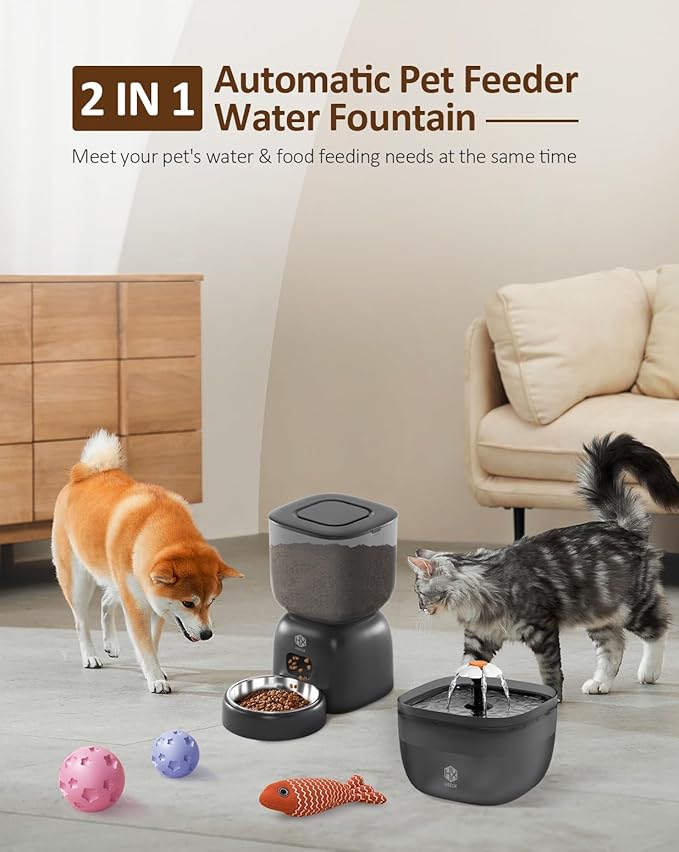 Automatic Cat Feeder and Water Dispenser Set with Pet Food Bowl Timer, Dual Power Supply, Programmable Portion Size, Auto Pet Feeder for Cats and Small Dogs, Voice Recorder, Black - PAWPICO