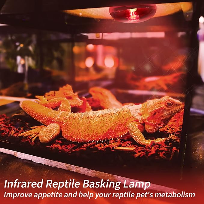 Reptile Heat Lamp Bulbs, Infrared 75W Reptiles & Amphibians Basking Spot Lamp Bulb-2 PCS, Red Heat Emitter Light for Chickens Coop REPTIHOME