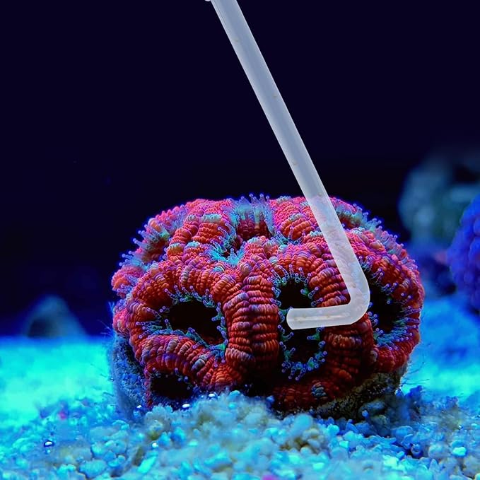 SLSON Aquarium Coral Feeder Waste Cleaner for Fish Tank Maintenance Long Pipette Suction Dropper Tool Acrylic Water Transfer Waste Remover Fish Feeder (24.8 inches) SLSON