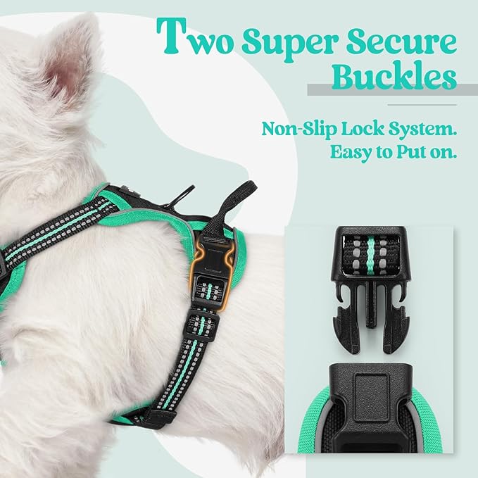 rabbitgoo Dog Harness No Pull with 2 Leash Clips, Adjustable Soft Padded, Reflective Oxford No Choke Pet Vest with Easy Control Handle for Puppy, Black & Turquoise, XS rabbitgoo