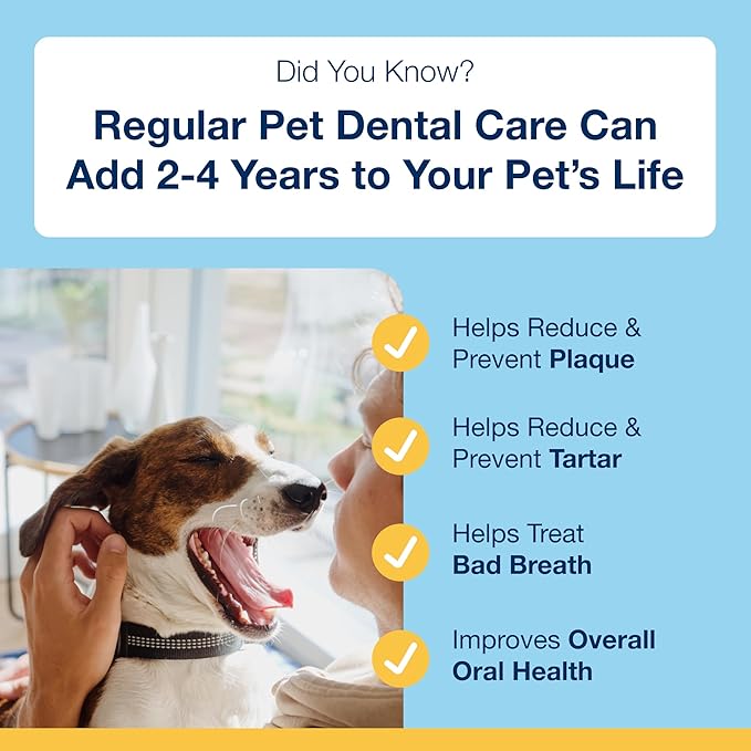 ProDen PlaqueOff Dental Care for Dogs and Cats, 60gm ProDenPlaqueOff