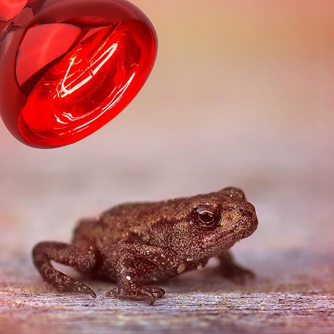 Aiicioo Reptile Red Night Light Bulb - 75W Reptile Heat Lamp Bulb Infrared Basking Spot Lamp for Bearded Dragon Lizard Turtle Hermit Crab Leopard Gecko Snake Chameleon Tank AIICIOO