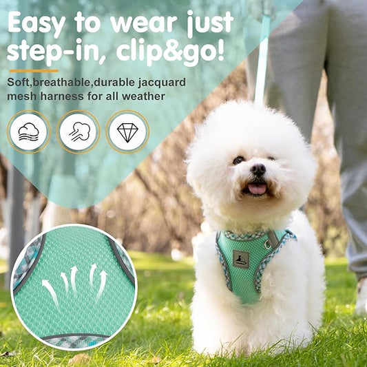 Dog Harness and Leash Set, No Pull Pet Harness for Small Dogs Easy Walking,Soft Breathable Small Dog Harness,Adjustable Reflective Step in Vest Harness for Puppy,Kitten, Cats - PAWPICO