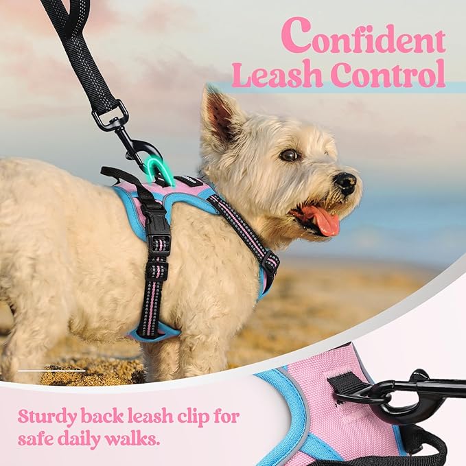 rabbitgoo Dog Harness No Pull with 2 Leash Clips, Adjustable Soft Padded, Reflective Oxford No Choke Pet Vest with Easy Control Handle for Puppy, Pink & Blue, XS rabbitgoo