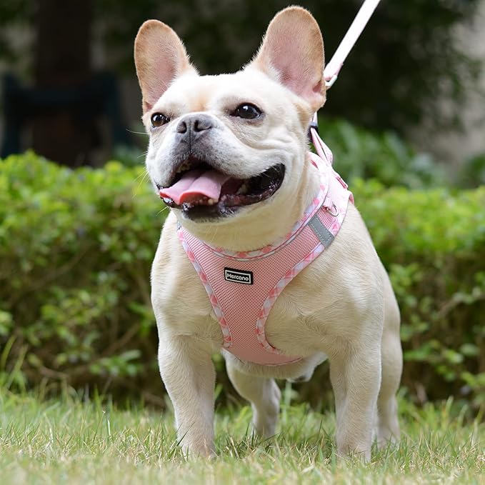 Mercano Soft Mesh Dog Harness and Leash Set, No-Chock Step-in Reflective Breathable Lightweight Easy Walk Escape Proof Vest Harnesses with Safety Buckle for Small Medium Dogs, Cats (Pink, XS) PAWPICO