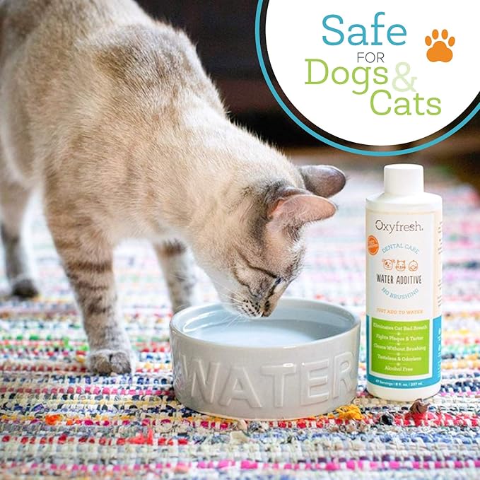 Oxyfresh Premium Pet Dental Care Solution Pet Water Additive: Best Way to Eliminate Bad Dog Breath and Cat Bad Breath - Fights Tartar & Plaque - So Easy, Just Add to Water! Vet Recommended 2 Pack Oxyfresh
