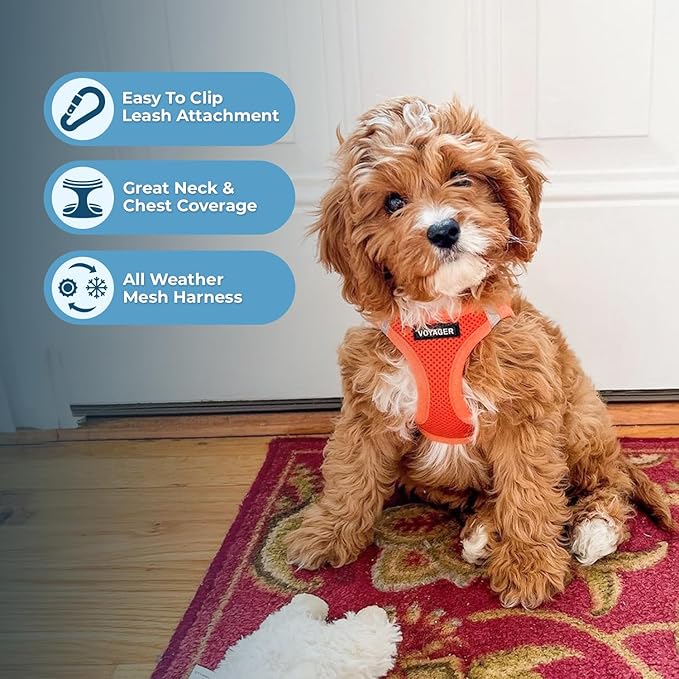 Voyager Step-In Air Dog Harness - All Weather Mesh, Reflective, No Pull Harness for Small, Medium Dogs, Cats - Secure with Hook & Loop Fastener, Buckle, Double D-Rings - Orange, XXS BestPetSuppliesLLC