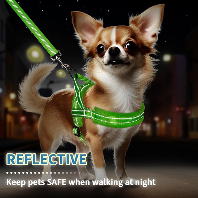 SlowTon No Pull Small Dog Harness and Leash Set, Puppy Soft Vest Harness Neck & Chest Adjustable, Reflective Lightweight Harness & Anti-Twist Pet Lead Combo for Small Medium Dogs(G,XXS) SlowTon