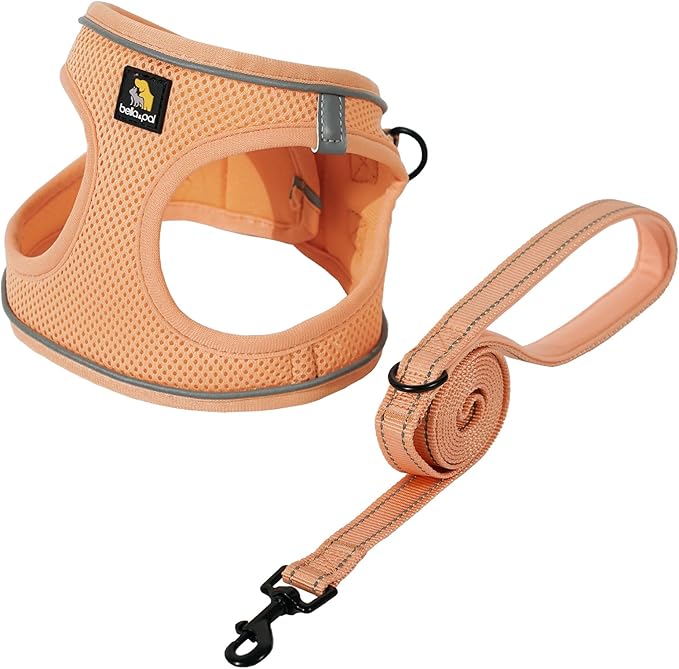 BELLA & PAL Puppy Harness with Leash Set, Dog Harness for Small Dogs No Pull, Dog Leash for Small Dogs, Step in Harness for Extra Small Dogs, Peach Harness, L BELLAPAL