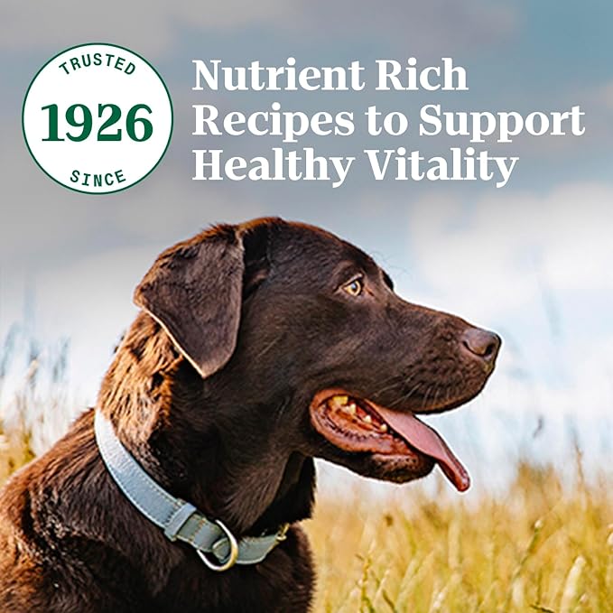 Nutro Natural Choice Adult Large Breed Dry Dog Food, Chicken and Brown Rice Recipe, 36 lb. Bag - PAWPICO