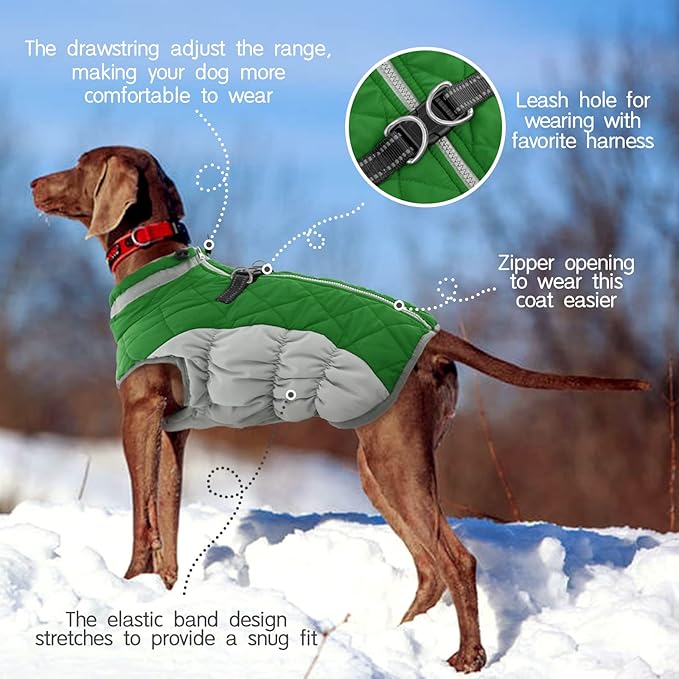 FUAMEY Dog Coat,Warm Dog Jacket Winter Coat Paded Dog Fleece Vest Reflective Dog Cold Weather Coats with Built in Harness Waterproof Windproof Dog Snow Jacket Clothes with Zipper Green Small - PAWPICO