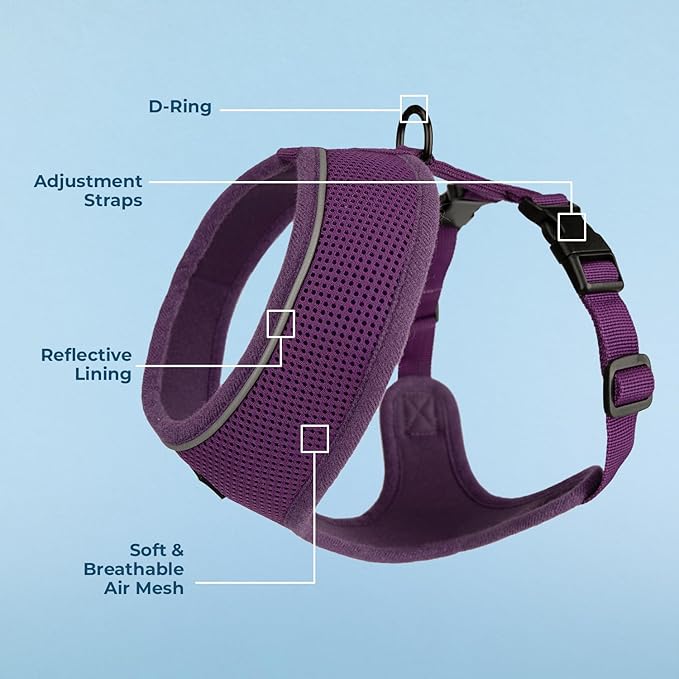 Voyager Aerolite No Pull Mesh Dog Harness with Lightweight, Soft, Breathable, Reflective Stitching, and Adjustable Straps for Walking, Running, Training, Heavy Duty and Durable - Purple, L BestPetSuppliesLLC