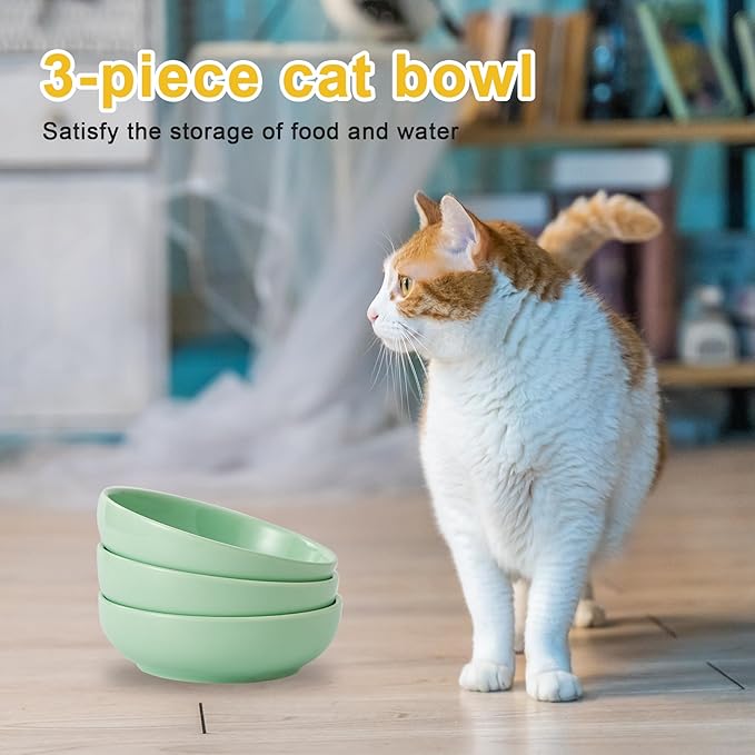 Howise 5.3 in Ceramic Cat Bowls Set, Shallow Cat Food Bowl Small Pet Bowls Cat Dish for Food and Water, Green - PAWPICO
