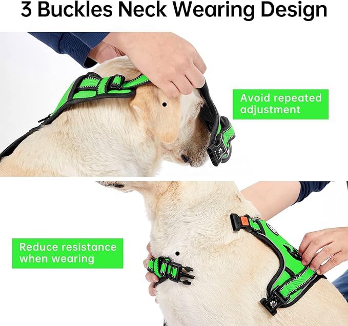 IVY&LANE No Pull Dog Harness for Medium Dogs, Dog Vest Harness with Leash, Safety Belt and Storage Strap, Fully Adjustable Harness, 360° Reflective Strip, Soft Handle (Green,M) IVYLANE