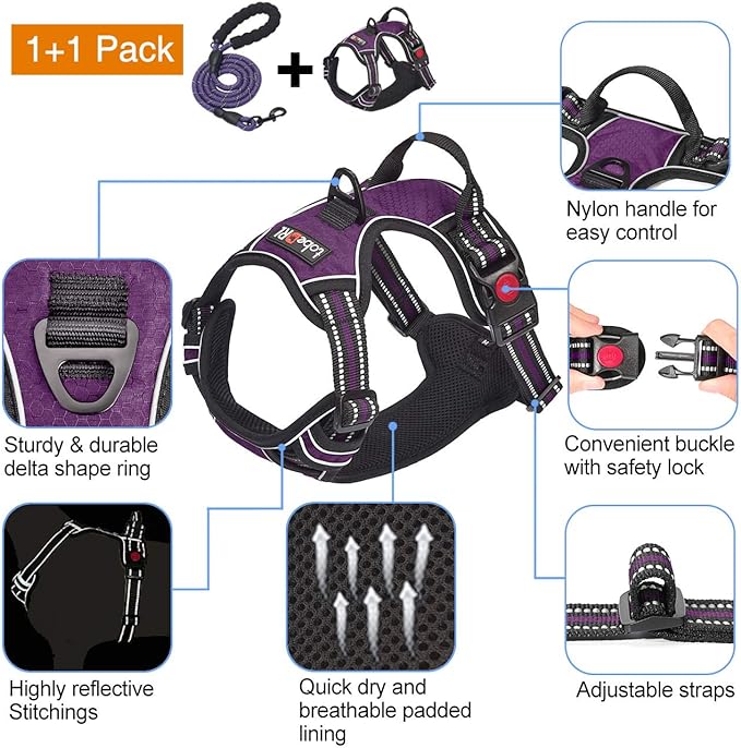 tobeDRI No Pull Dog Harness Adjustable Reflective Oxford Easy Control Medium Large Dog Harness with A Free Heavy Duty 5ft Dog Leash (S (Neck: 13"-18", Chest: 17.5"-22"), Purple Harness+Leash) - PAWPICO