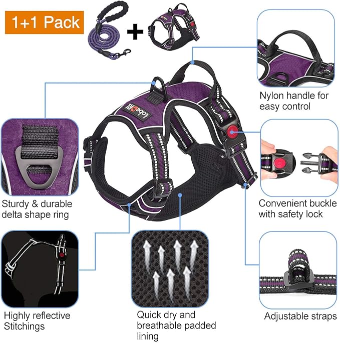 tobeDRI No Pull Dog Harness Adjustable Reflective Oxford Easy Control Medium Large Harness with A Free Heavy Duty 5ft Leash (L (Neck: 18"-25.5", Chest: 24.5"-33"), Purple) - PAWPICO