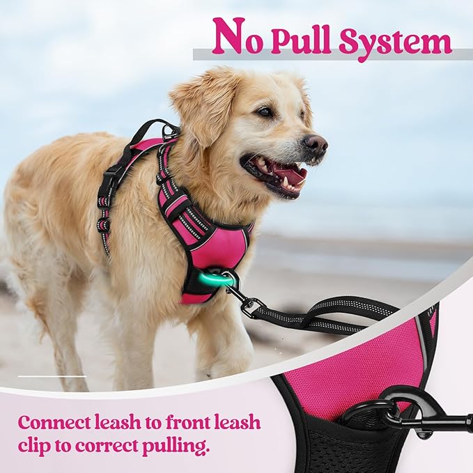 rabbitgoo Dog Harness No Pull with 2 Leash Clips, Adjustable Soft Padded, Reflective Oxford No Choke Pet Vest with Easy Control Handle for Large Dogs, Hot Pink, XL rabbitgoo