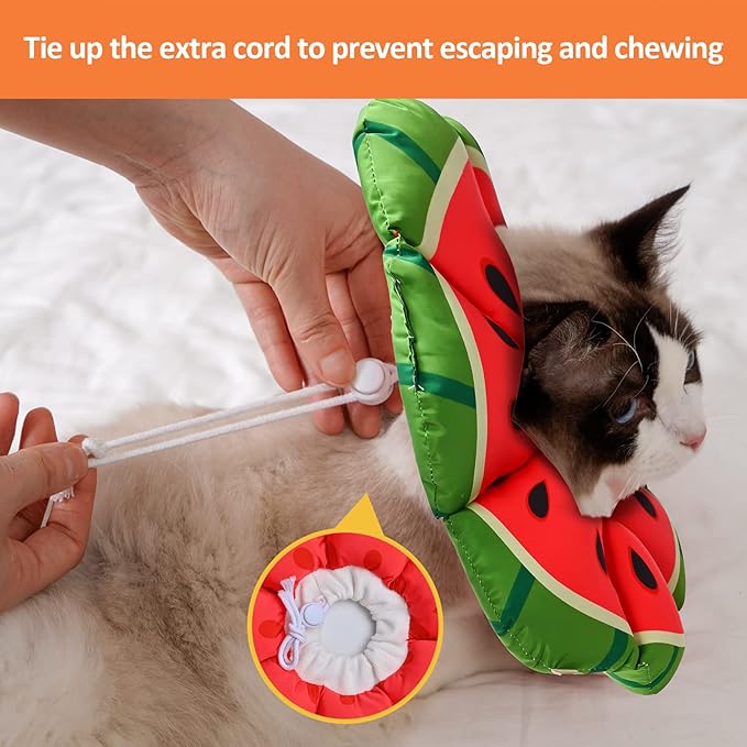 Avont Cat Cone Collar Soft, Adjustable Recovery E Collar Alternative for Cats Kittens Puppies, Elizabethan Neck Cone of Shame to Prevent Licking Biting After Surgery Protect Wounds -Melon(S) Avont