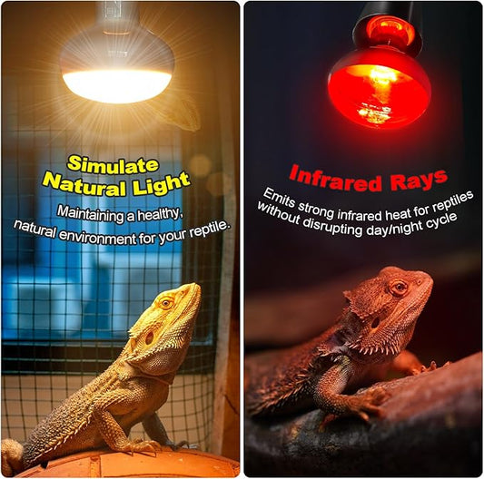 MIXJOY 100W Reptile Heat Lamp Bulb Combo, 2PCS Day & Night Reptile Heat Bulbs, UVA Daylight Intense Heat Basking Bulb Infrared Heat Light Bulb for Reptiles, Lizard, Tortoise, Bearded Dragon Chickens MIXJOY