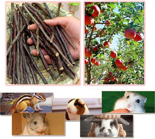 250g Apple Sticks Small Animals Molar Wood Treats Toys for Rabbits Chinchillas Guinea Pig Hamster Gerbil Parrot Bunny and Small Animals Chew Stick Toys Treats Bojafa