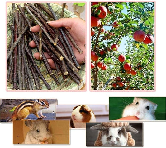 500g Apple Sticks Small Animals Molar Wood Treats Toys for Rabbits Chinchillas Guinea Pig Hamster Gerbil Bunny and Small Animal Chew Stick Toys Bojafa