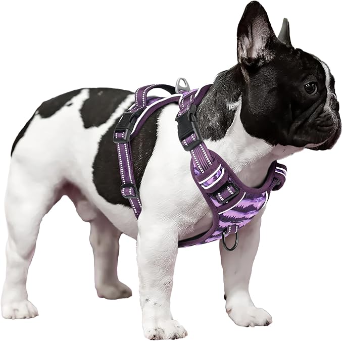 Timos Dog Harness,No-Pull Pet Harness Adjustable Soft Padded Dog Vest,Reflective No-Choke Pet Oxford Vest with Easy Control Handle for X-Small Dogs,Moon Night,XS Timos