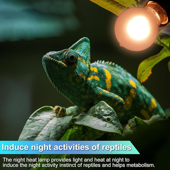 Reptile Night Heat Lamp 2 Pack 50W, Moonlight Heat Lamp for Reptiles & Amphibians, Reptile Night Heat Light for Bearded Dragon, Lizard, Turtle REPTIHOME