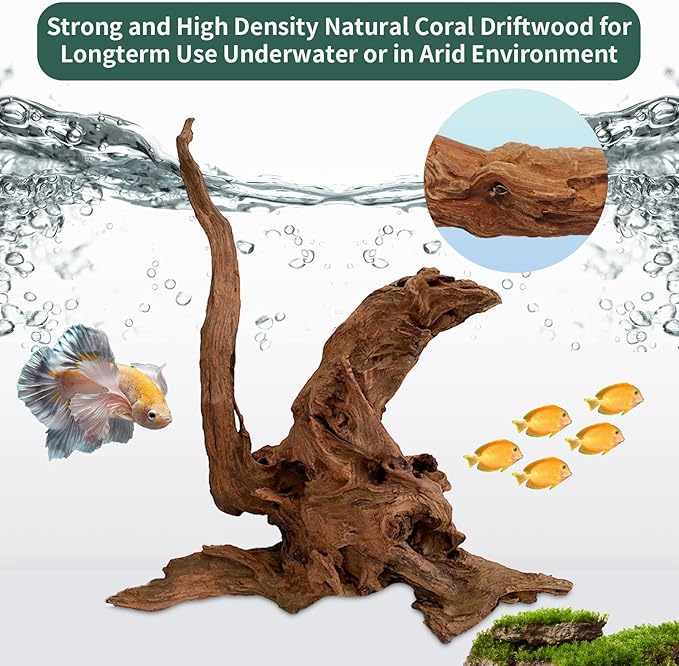5 Pcs Driftwood Branches Aquarium Wood Decoration Natural Fish Tank Habitat Decor Wood for Lizard Assorted Size-Small Hamiledyi