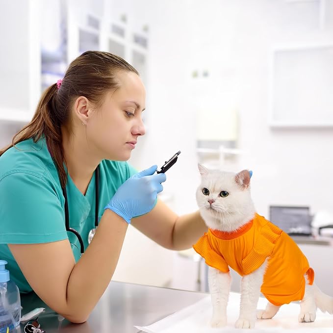 Avont Cat Recovery Suit - Post-Surgery Onesie for Cats, Alternative to Cone of Shame, Protective Spay Suit for Female Kitten, Ideal for Healing and Skin Conditions -Orange(S) Avont